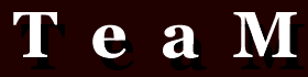 team.gif (2954 bytes)